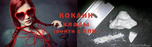 сатива Дмитриев
