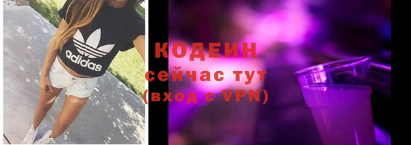 сатива Дмитриев