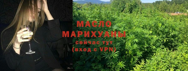 сатива Дмитриев