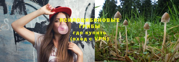 сатива Дмитриев