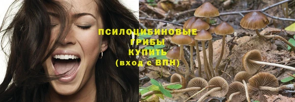 ешки Дмитровск