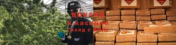 ПСИЛОЦИБИНОВЫЕ ГРИБЫ Дмитров