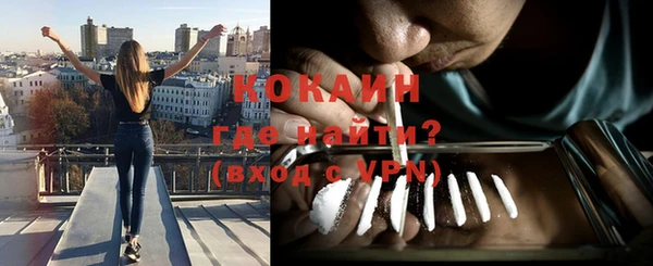 сатива Дмитриев